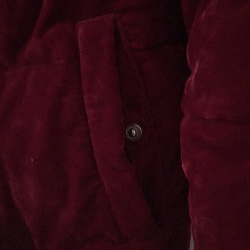 Burgundy Velvet Express puffy Jacket - Picture 3 of 5
